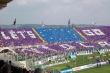 Tifosi